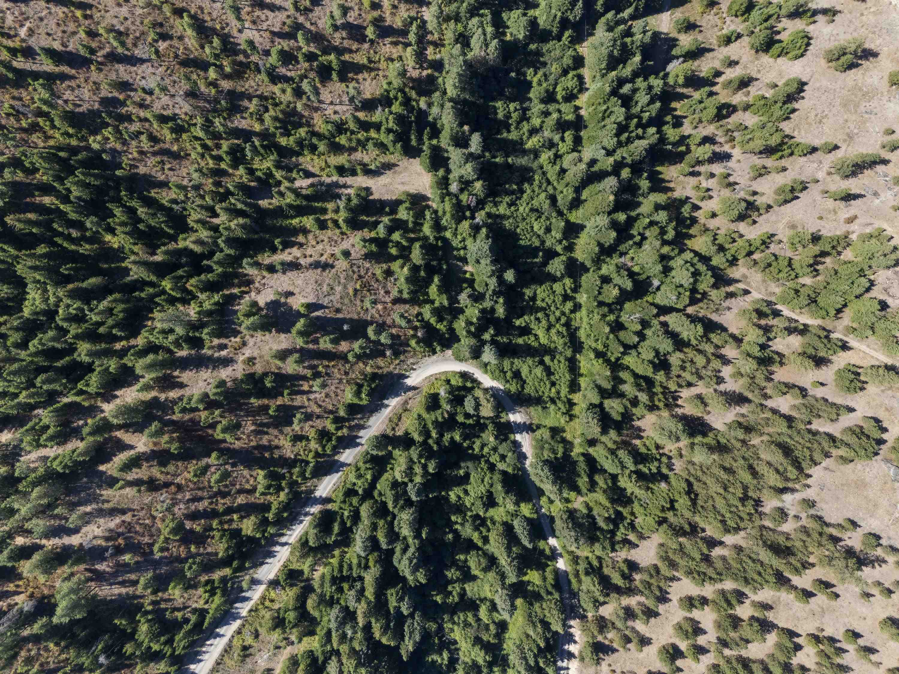 Tbd East Antler Road Chattaroy, WA 99003 - Photo 10 of 32