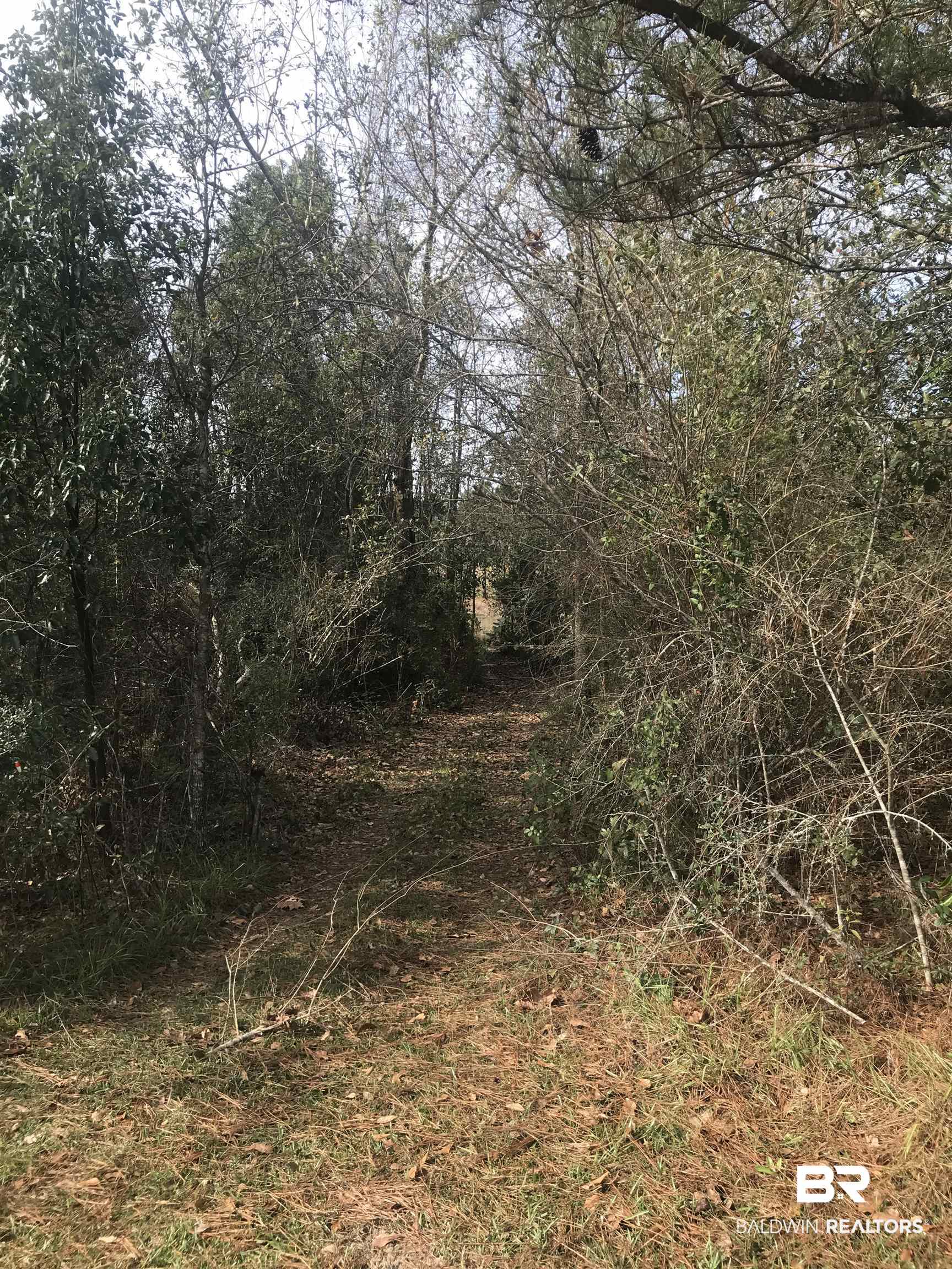 0 Steadham Lane Robertsdale, AL 36567 - Photo 8 of 24