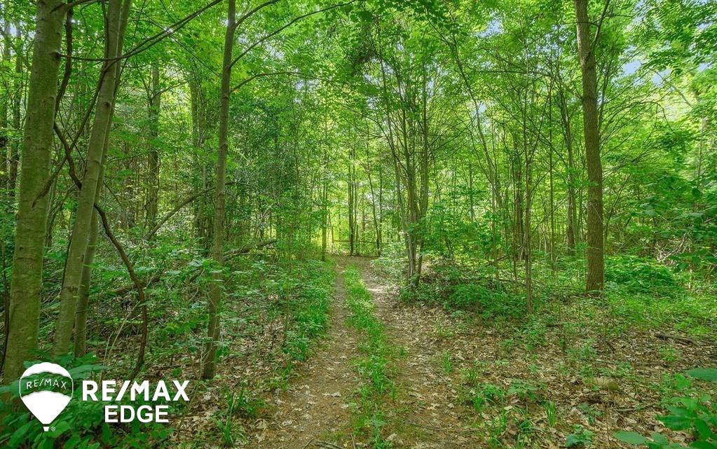 1376 East Mt Morris Road Mount Morris, MI 48458 - Photo 57 of 57 50145850-361cf7f1-16c6-4660-8696-9f326f51518c.JPG