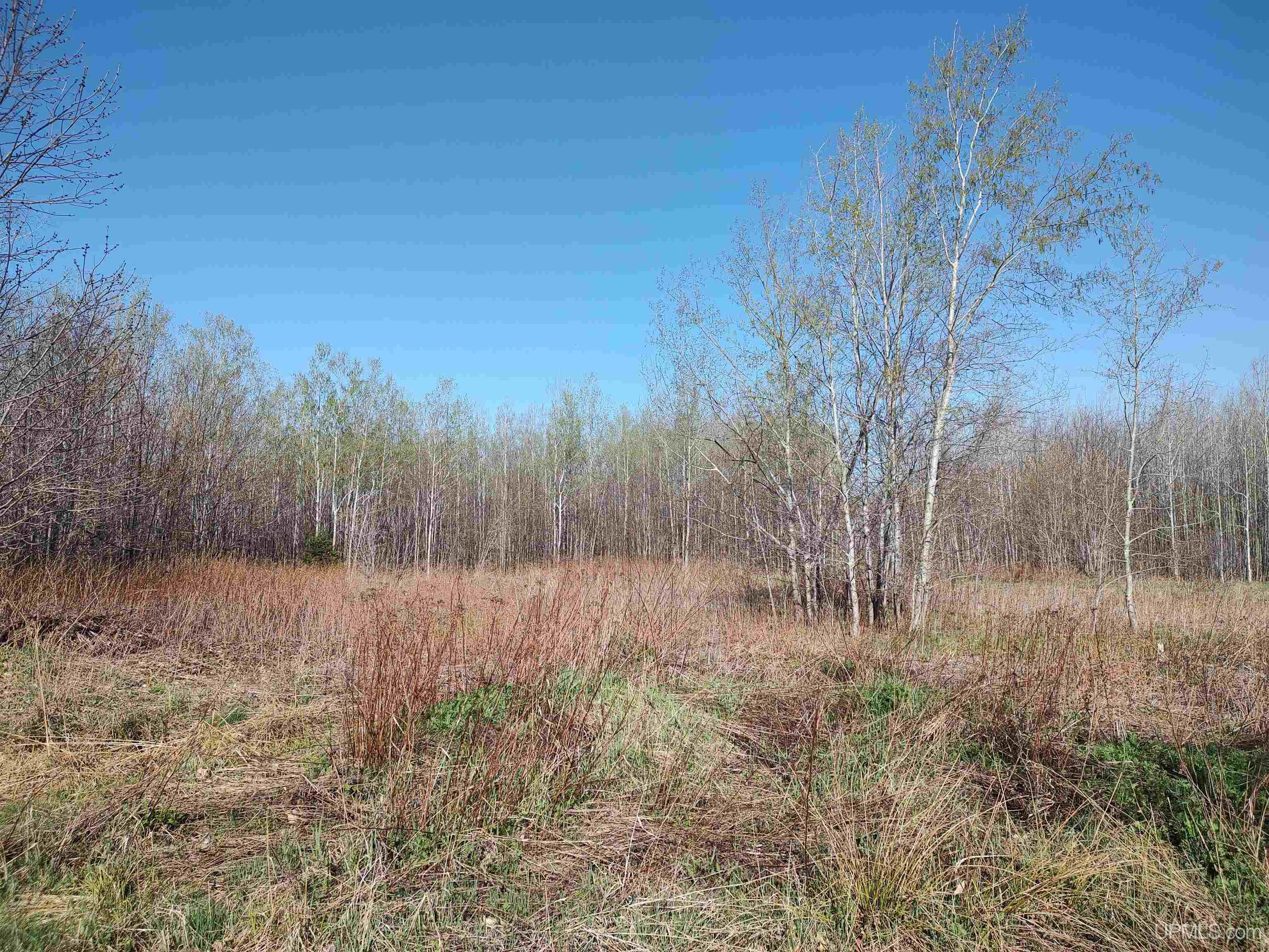 Tbd Tbd Schooner Road Ontonagon, MI 49953 - Photo 12 of 44