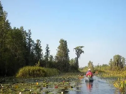 $24,800 | Lot55 Lighthouse Circle, Woodbine, GA 31569