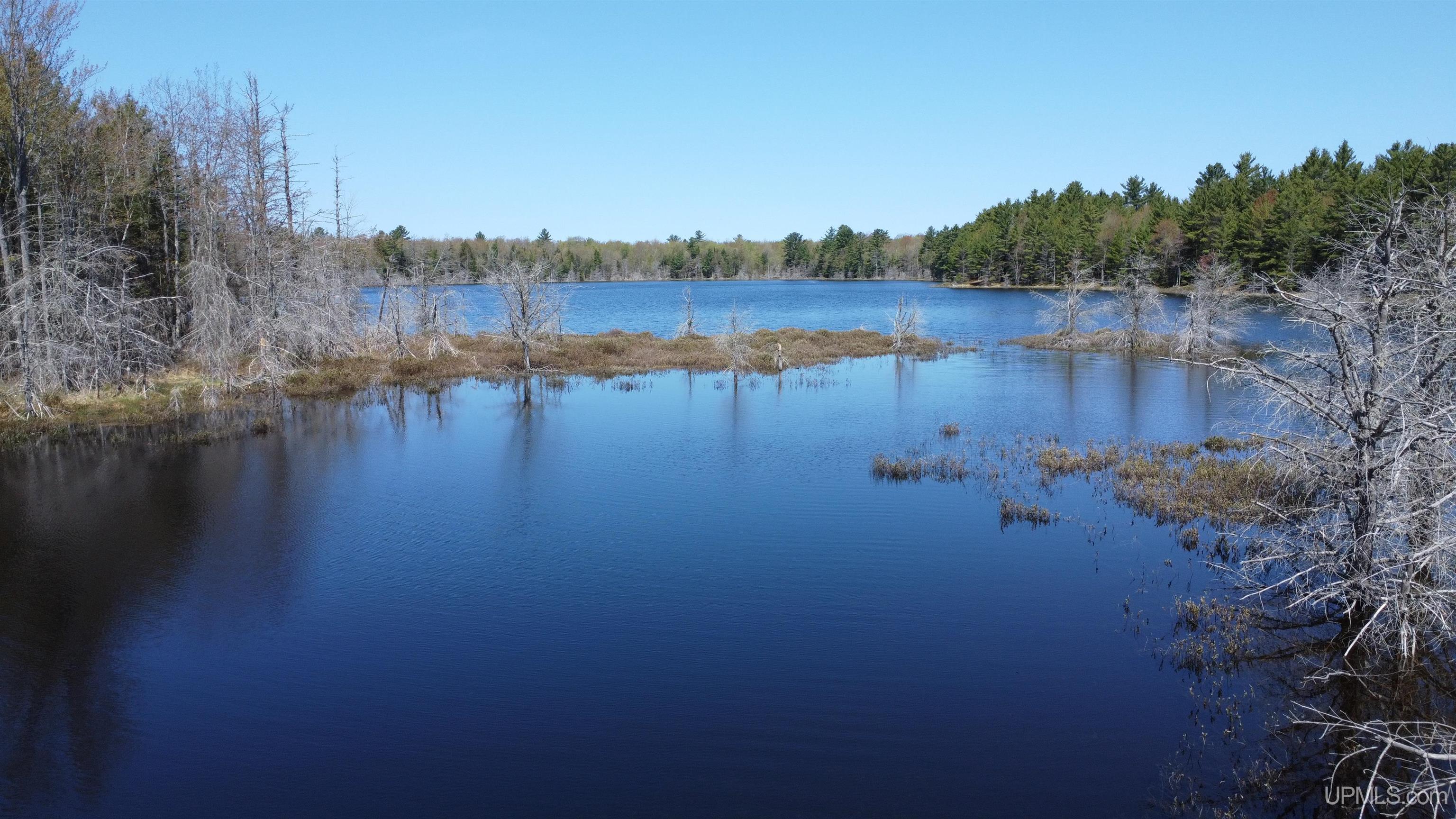 Off Adams Trail Shingleton, MI 49884 - Photo 11 of 46