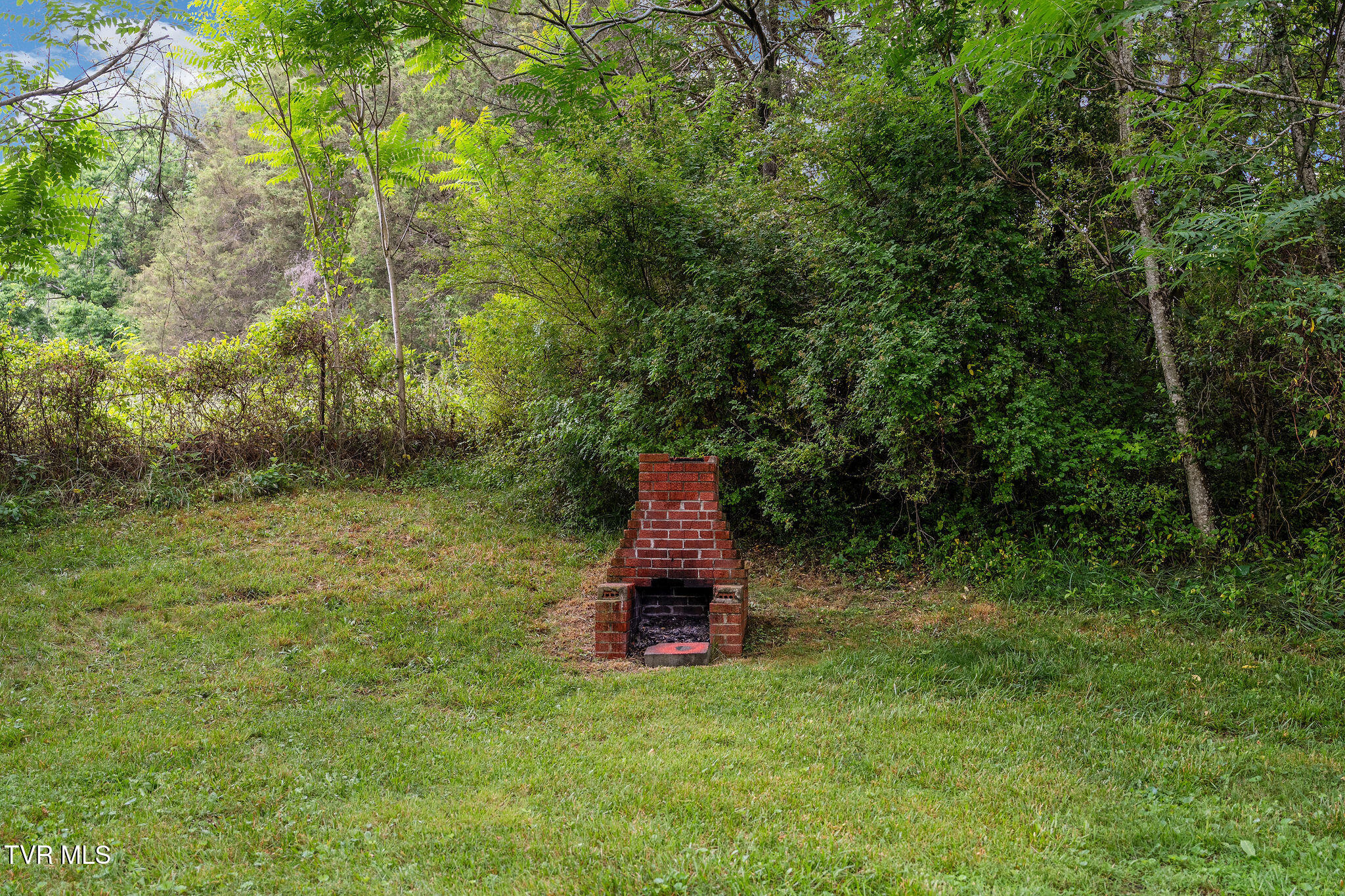 630 Briar Patch Lane Greeneville, TN 37745 - Photo 36 of 50 DSC03883