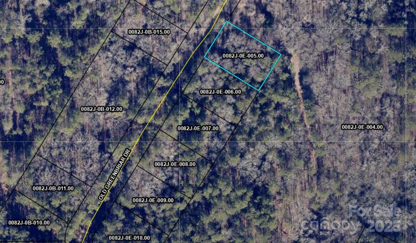 1329 Old Greenbriar Drive Lancaster, SC 29720 - Photo 2 of 4 a picture of tree