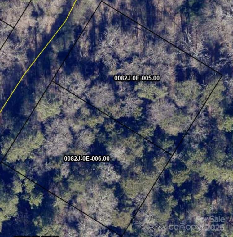 1329 Old Greenbriar Drive Lancaster, SC 29720 - Photo 3 of 4 a view of a dry side of forest