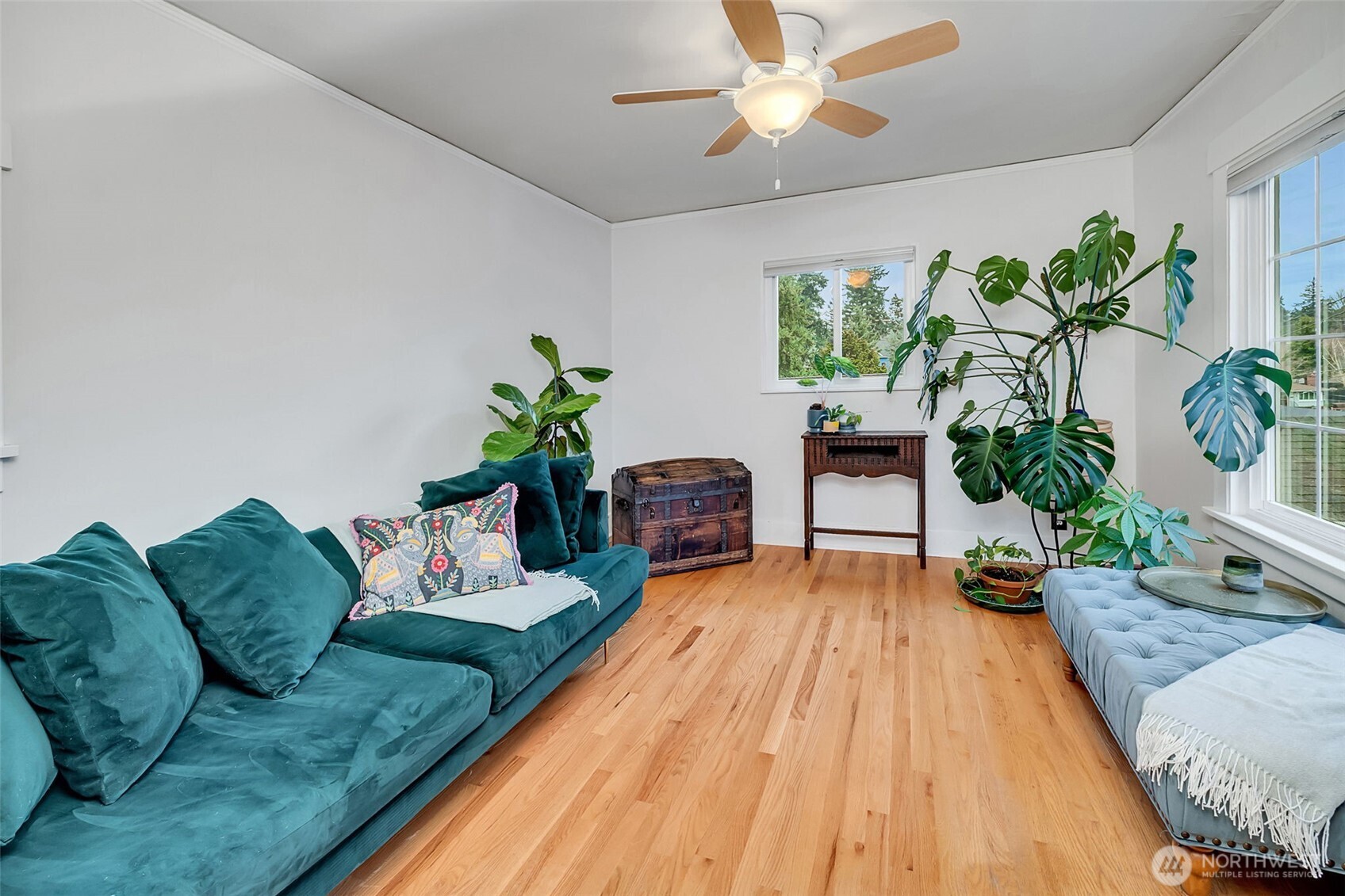 2726 50th Avenue Southwest Seattle, WA 98116 - Photo 14 of 40 a living room with furniture and a potted plant