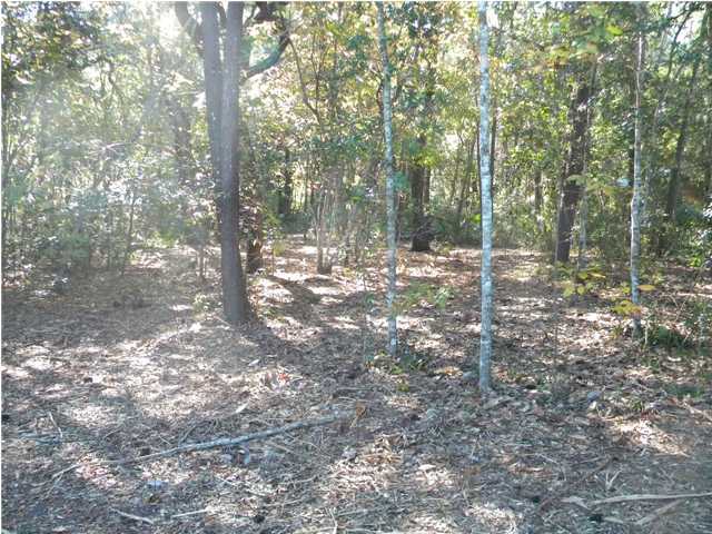 Lot 7 Ricker Avenue Santa Rosa Beach, FL 32459 - Photo 4 of 10 Gallery Image 4
