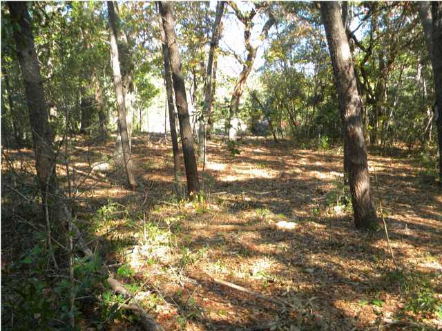 Lot 7 Ricker Avenue Santa Rosa Beach, FL 32459 - Photo 6 of 10 Gallery Image 6