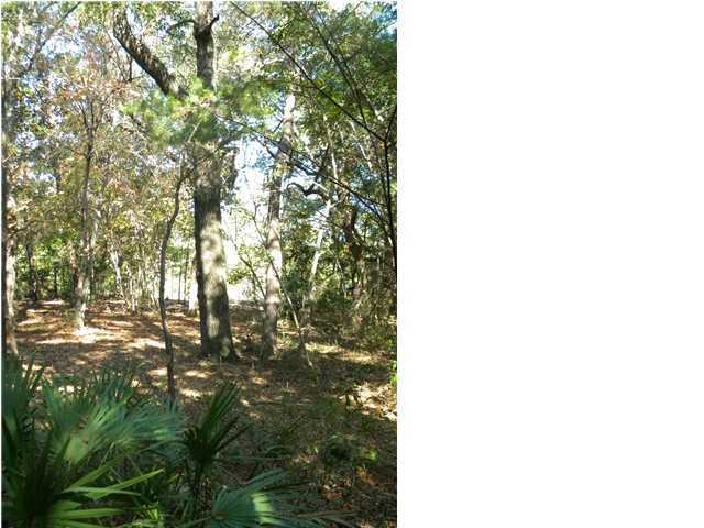 Lot 7 Ricker Avenue Santa Rosa Beach, FL 32459 - Photo 7 of 10 Gallery Image 7