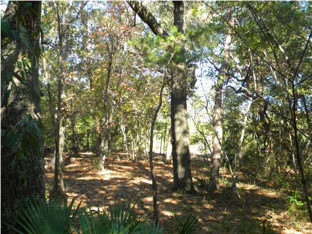 Lot 7 Ricker Avenue Santa Rosa Beach, FL 32459 - Photo 8 of 10 Gallery Image 8