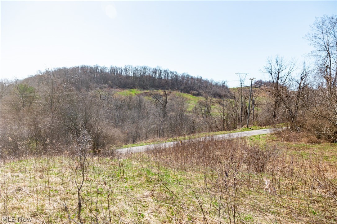 135 Township Road Adena, OH 43901 - Photo 9 of 47