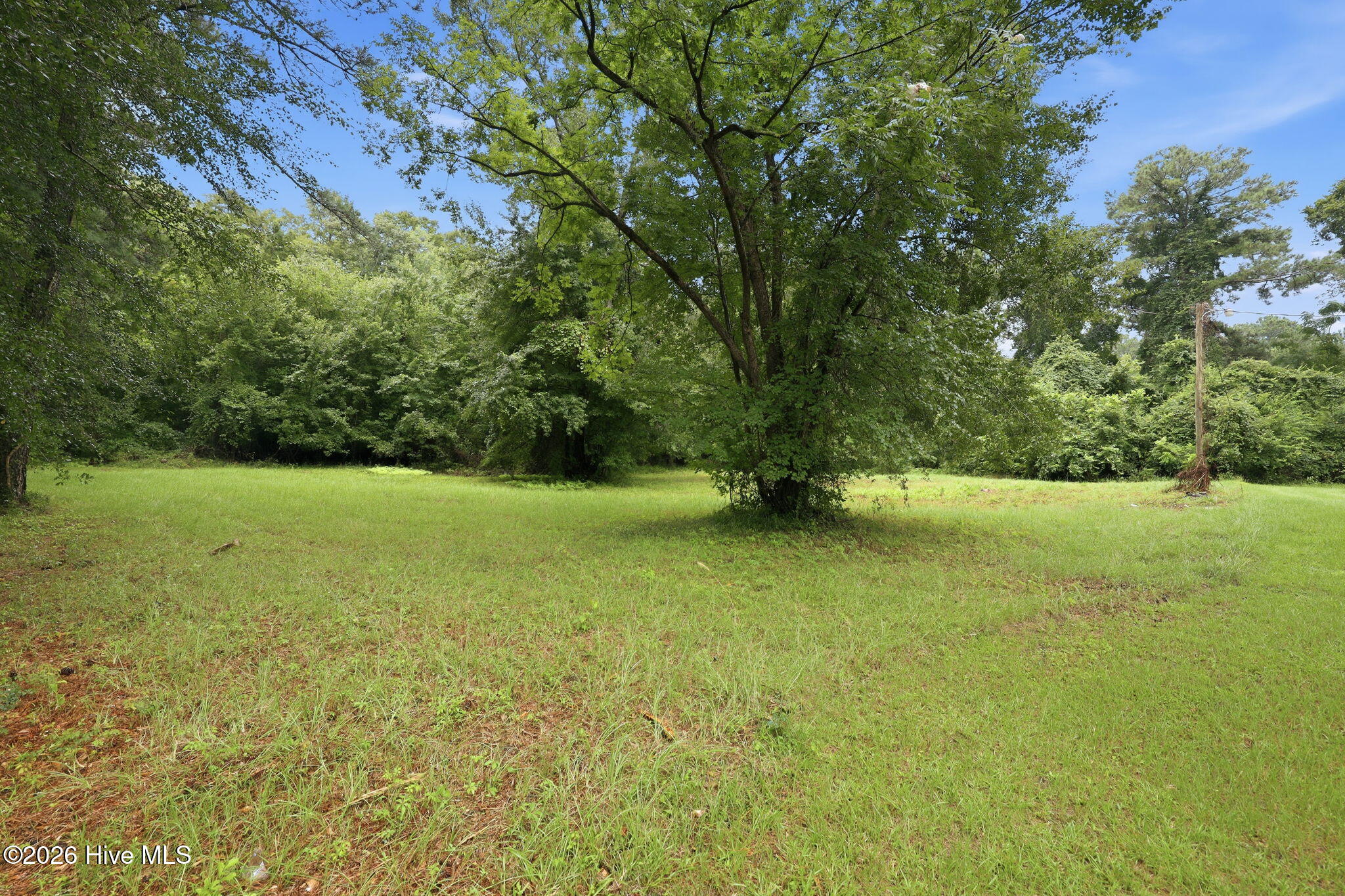 205 Streets Ferry Road Vanceboro, NC 28586 - Photo 73 of 79 Gallery Image 73