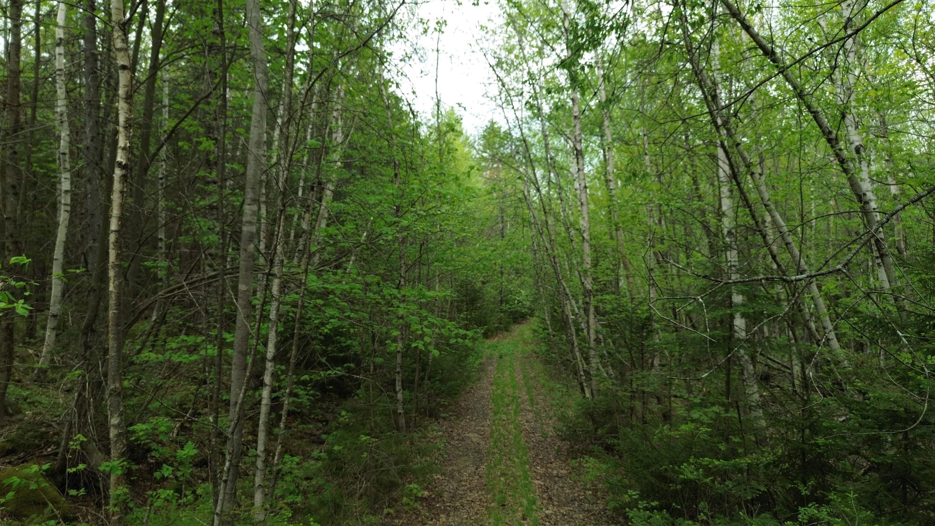 29 Martin Road Washington, NH 03280 - Photo 13 of 25
