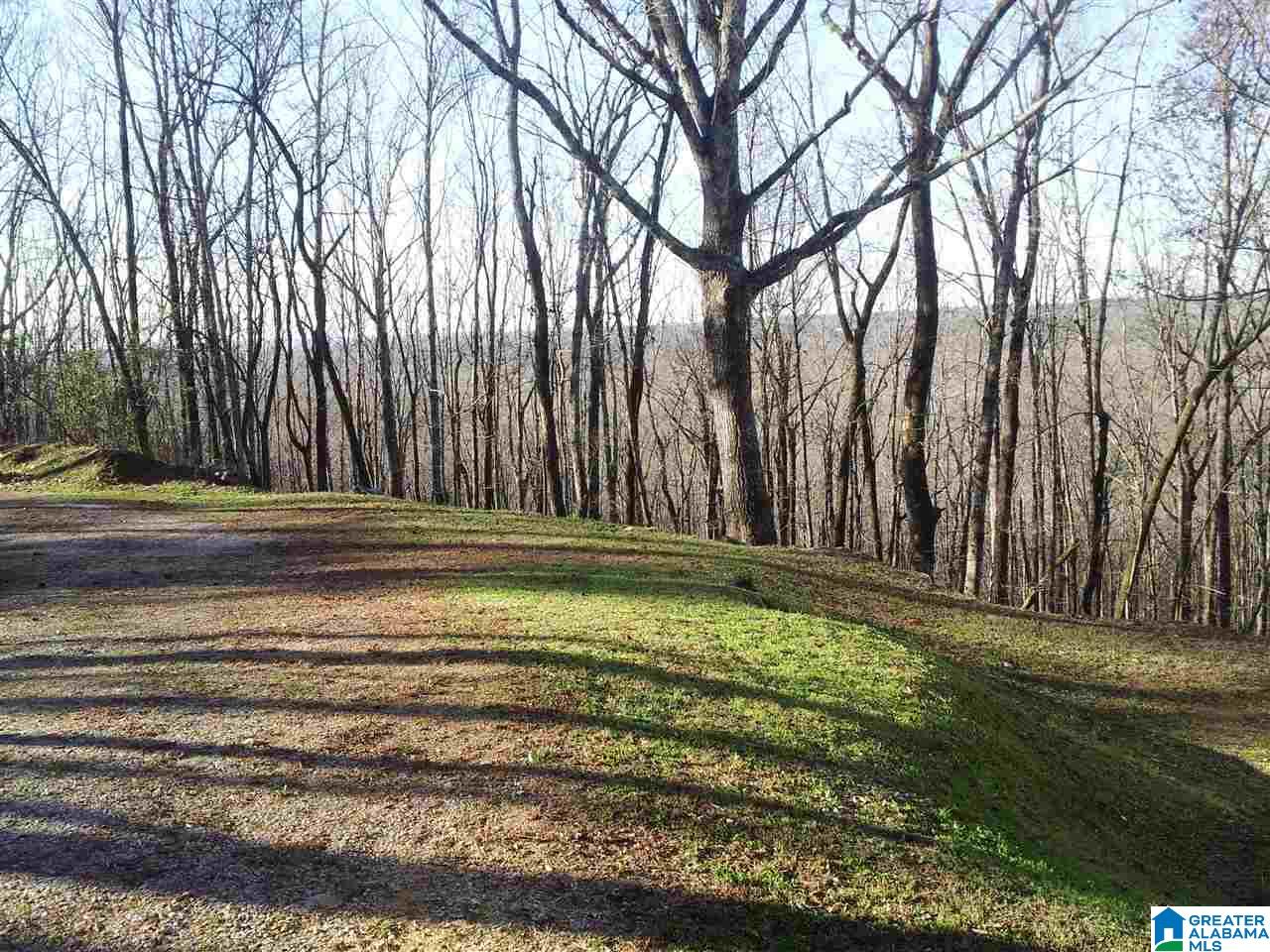 9122 Bluff Ridge Road Bessemer, AL 35022 - Photo 18 of 20