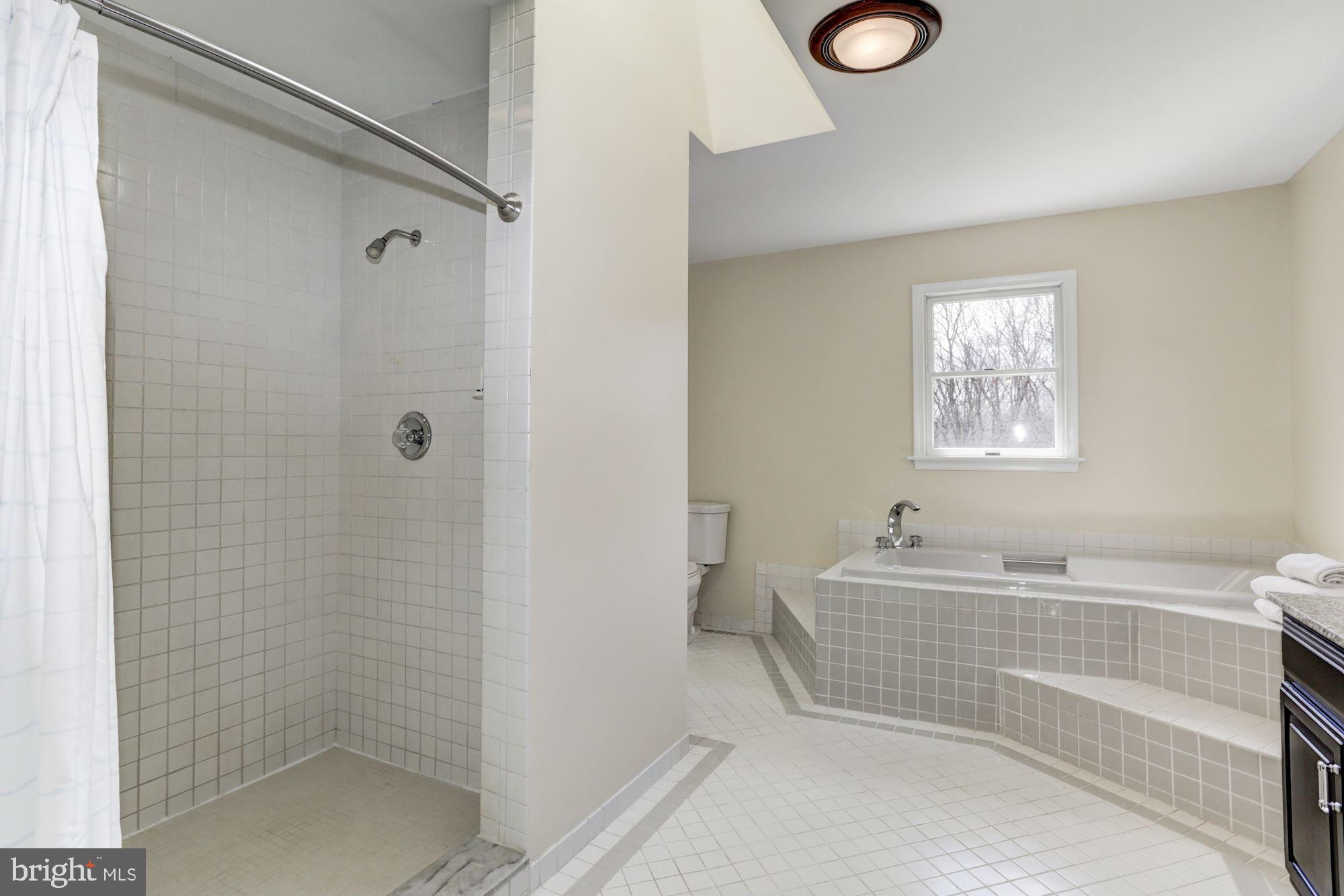 13612 Poplar Hill Road Phoenix, MD 21131 - Photo 21 of 31 Master Suite Bath