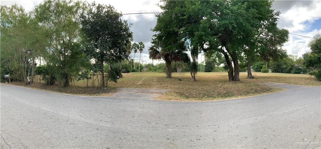 3106 Smith Road Brownsville, TX 78526 - Photo 4 of 4 a view of road and trees