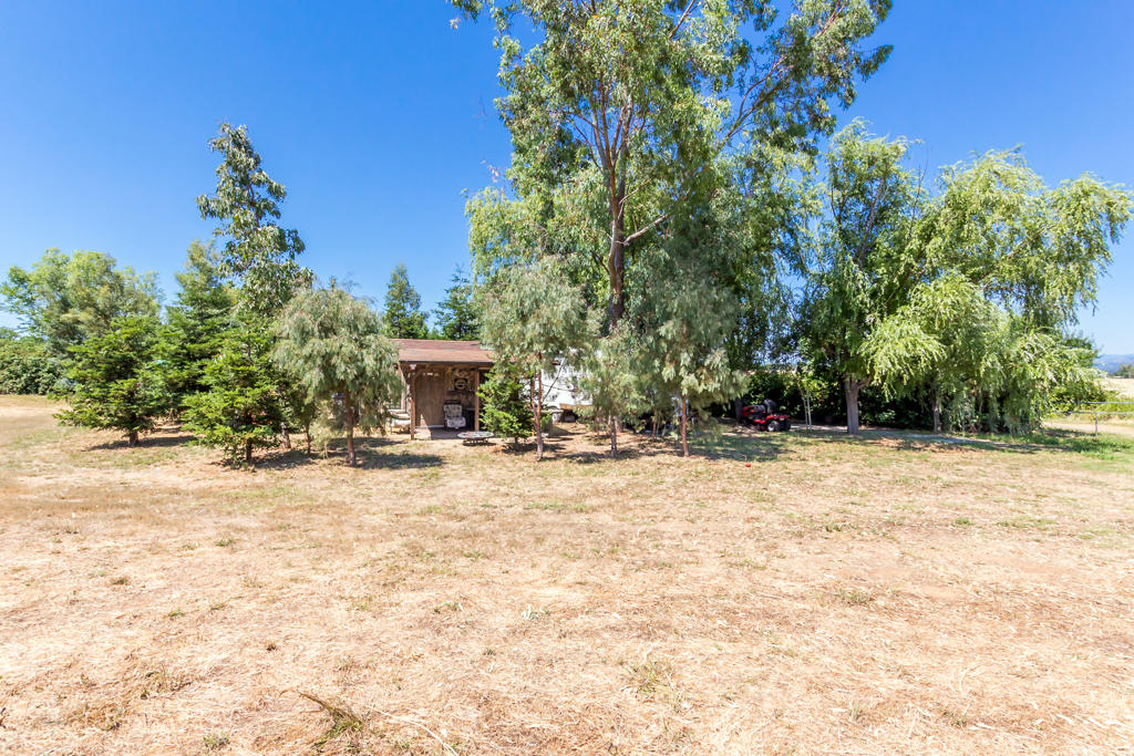 Lone Tree Road Cottonwood, CA 96022 - Photo 26 of 27 a view of a house with a yard and trees