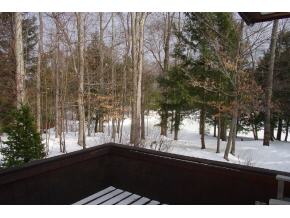 6 Nuthatch Road, Unit 27 Winhall, VT 05340 - Photo 8 of 10