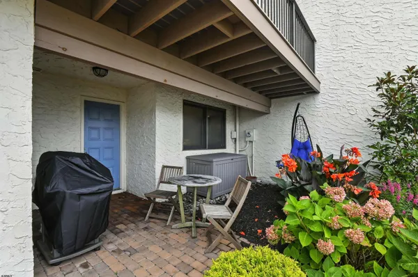 a view of backyard with a chair and potted plant
