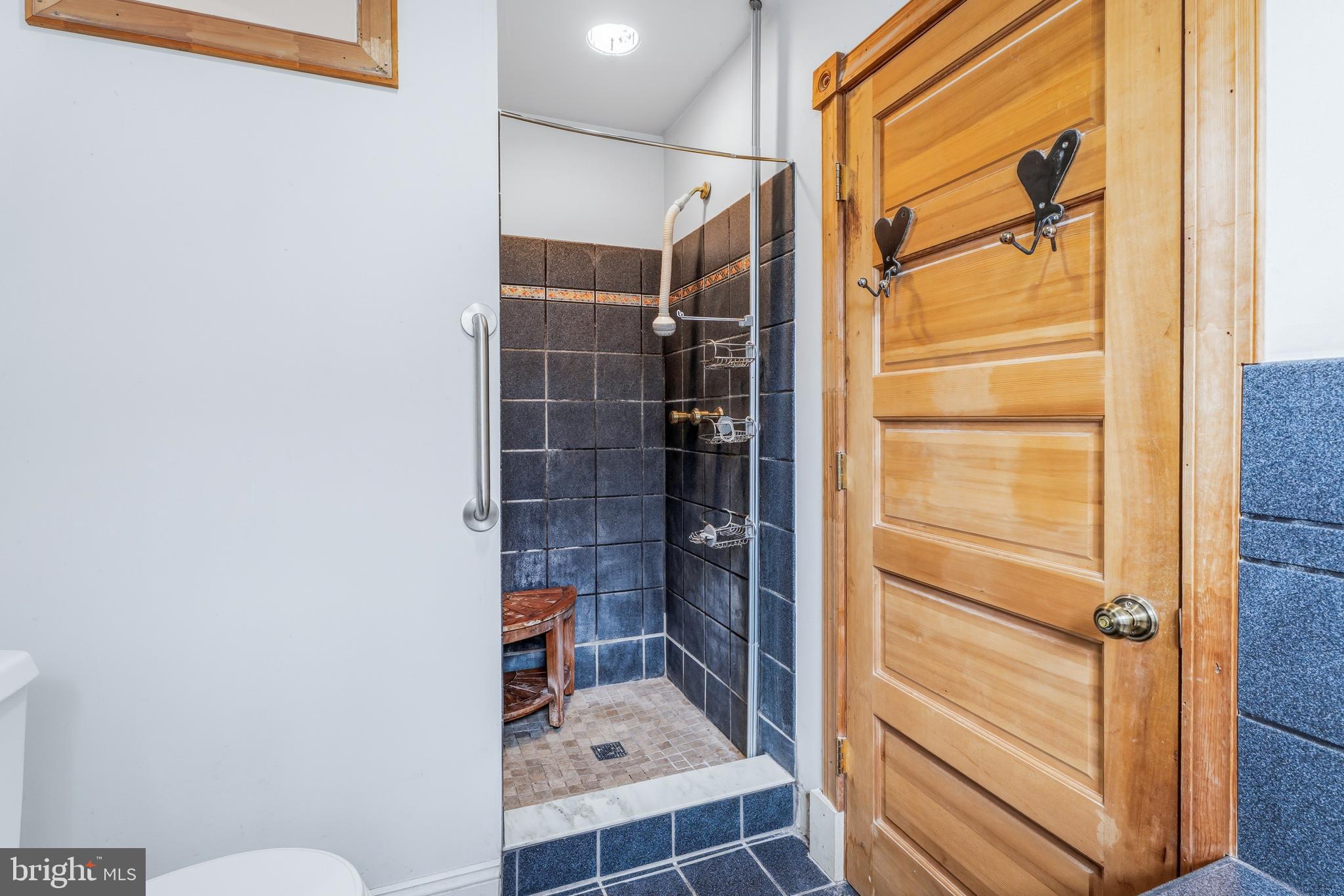 2205 Arden Road Baltimore, MD 21209 - Photo 21 of 30 Separate Shower