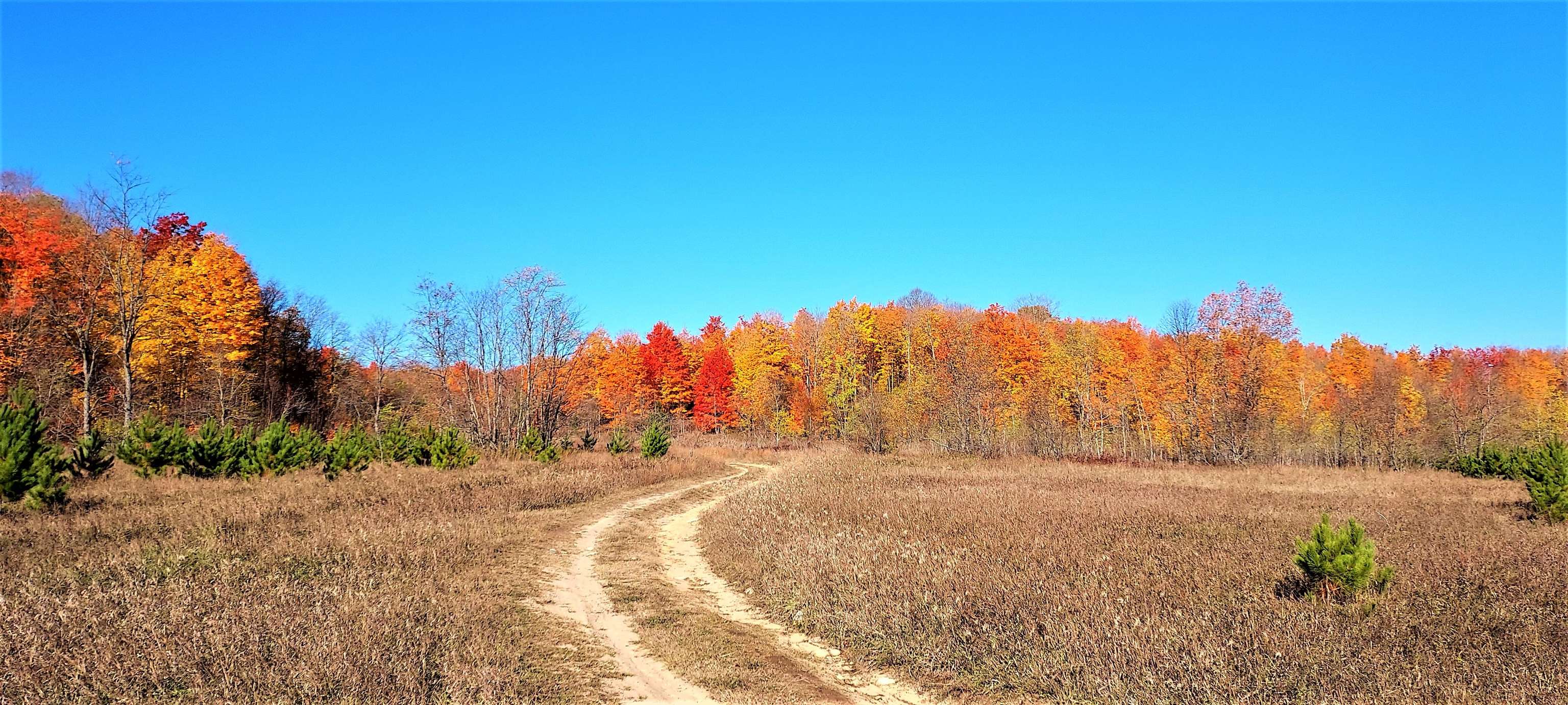 0 Twin Peaks Road Frederic, MI 49733 - Photo 17 of 35 Gallery Image 17