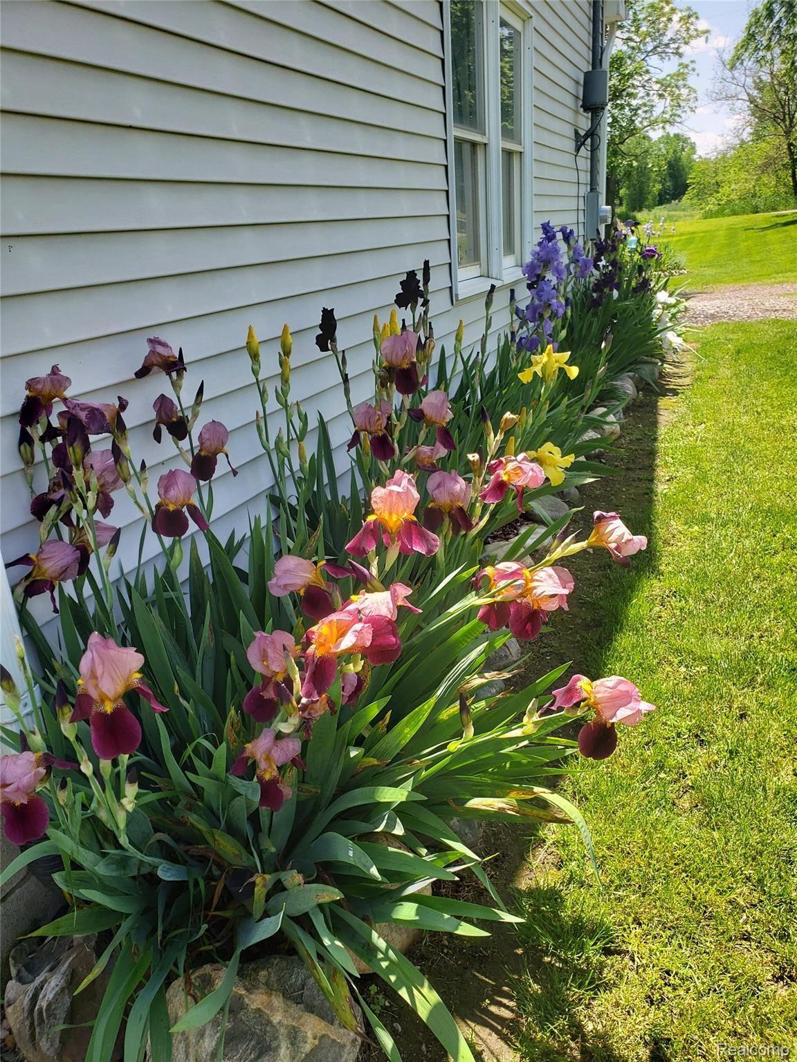 10310 Judd Road Fowlerville, MI 48836 - Photo 24 of 31 Perennial's
