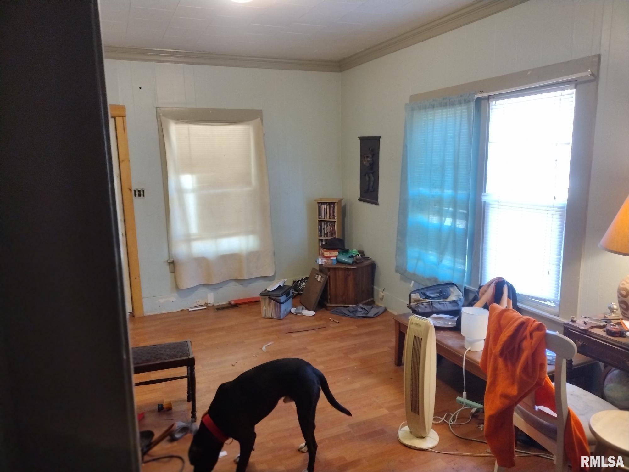 208 George Street Anna, IL 62906 - Photo 10 of 12 Gallery Image 10
