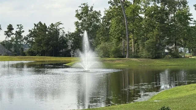 a view of a park with large trees