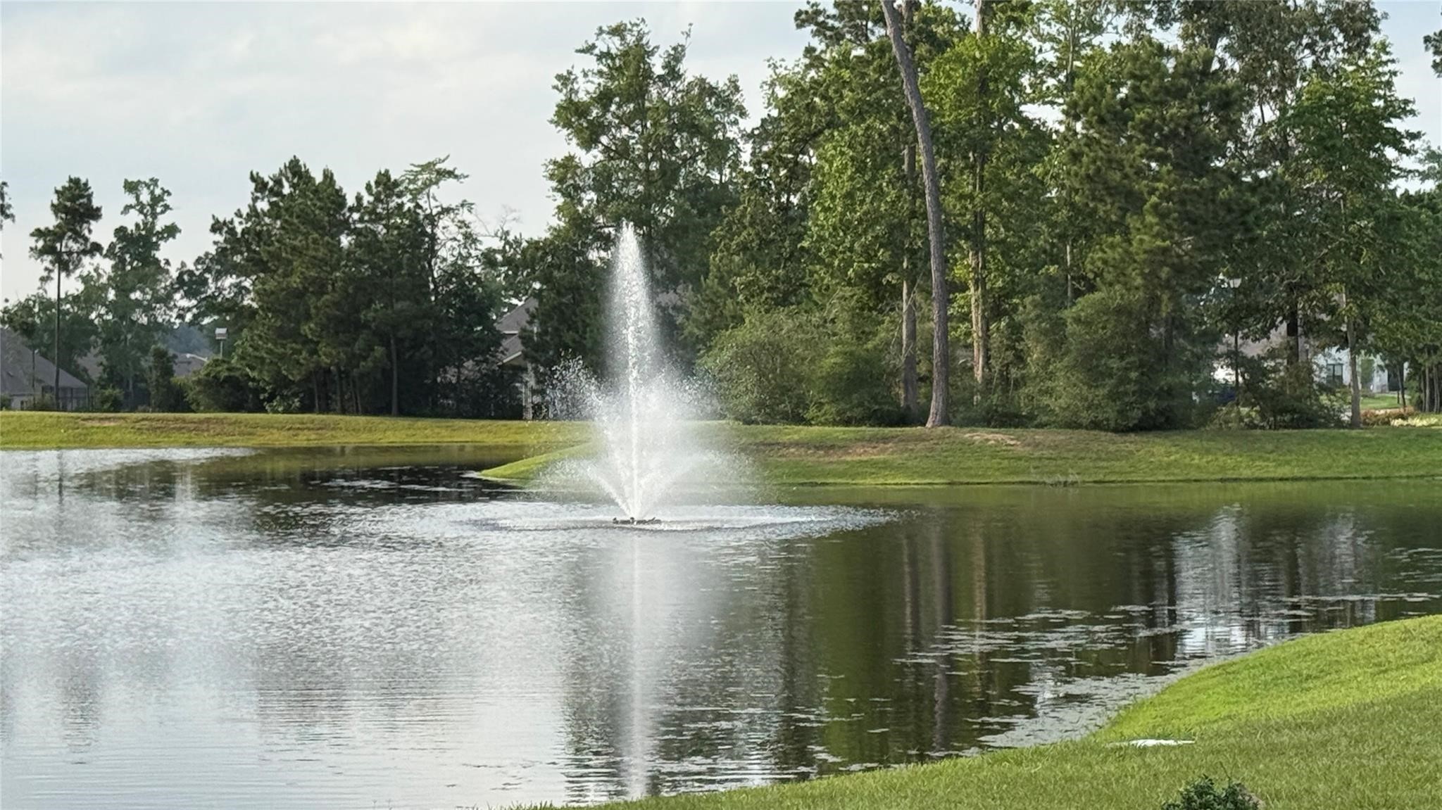 14208 Wallowa Ridge Lane Conroe, TX 77384 - Photo 40 of 48 a view of a lake from a yard