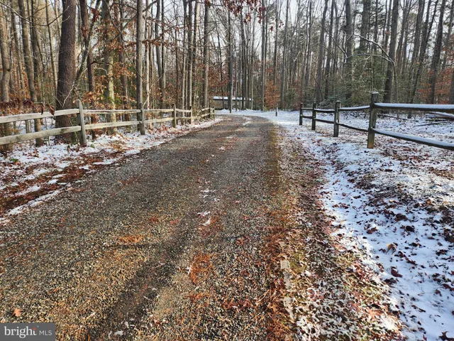 a view of backyard with trees