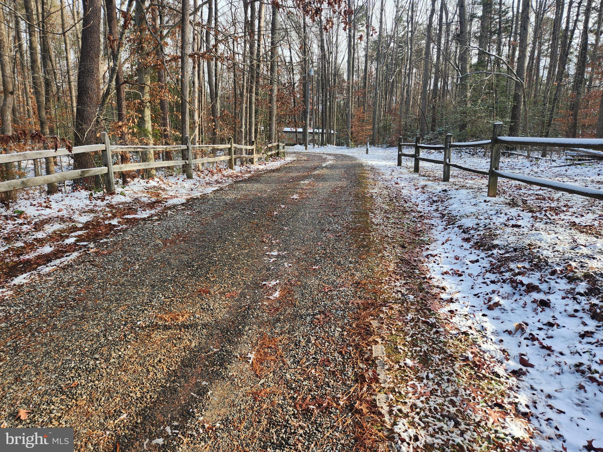 6101 Glebe Run Road Partlow, VA 22534 - Photo 9 of 51 Serene winter path through the woods.