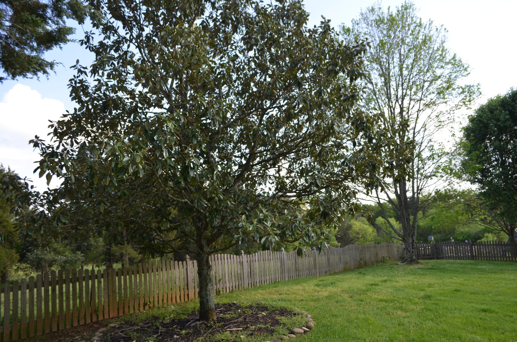 12804 Pecos Road Knoxville, TN 37934 - Photo 12 of 36 Gallery Image 12