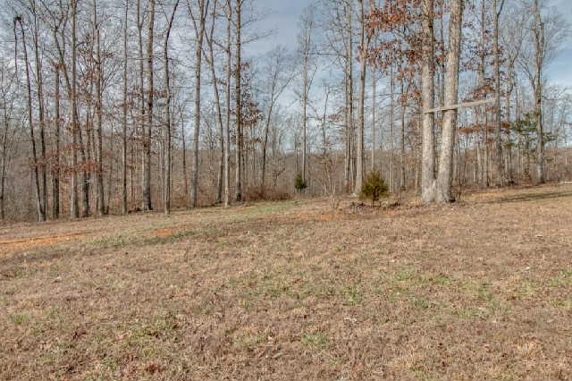 6635 Erin Road McEwen, TN 37101 - Photo 16 of 18 Land has lots of possibilities....