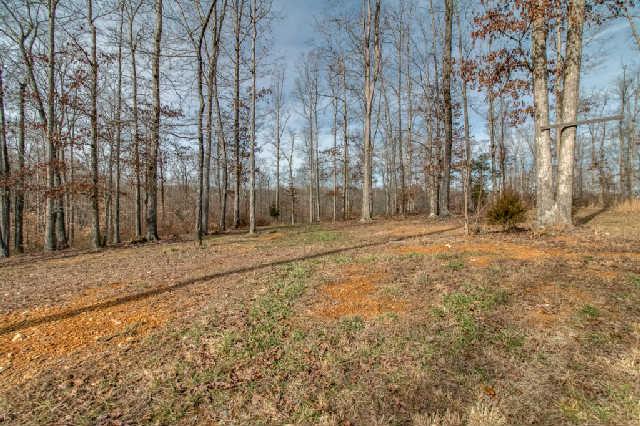 6635 Erin Road McEwen, TN 37101 - Photo 17 of 18 Another view of land
