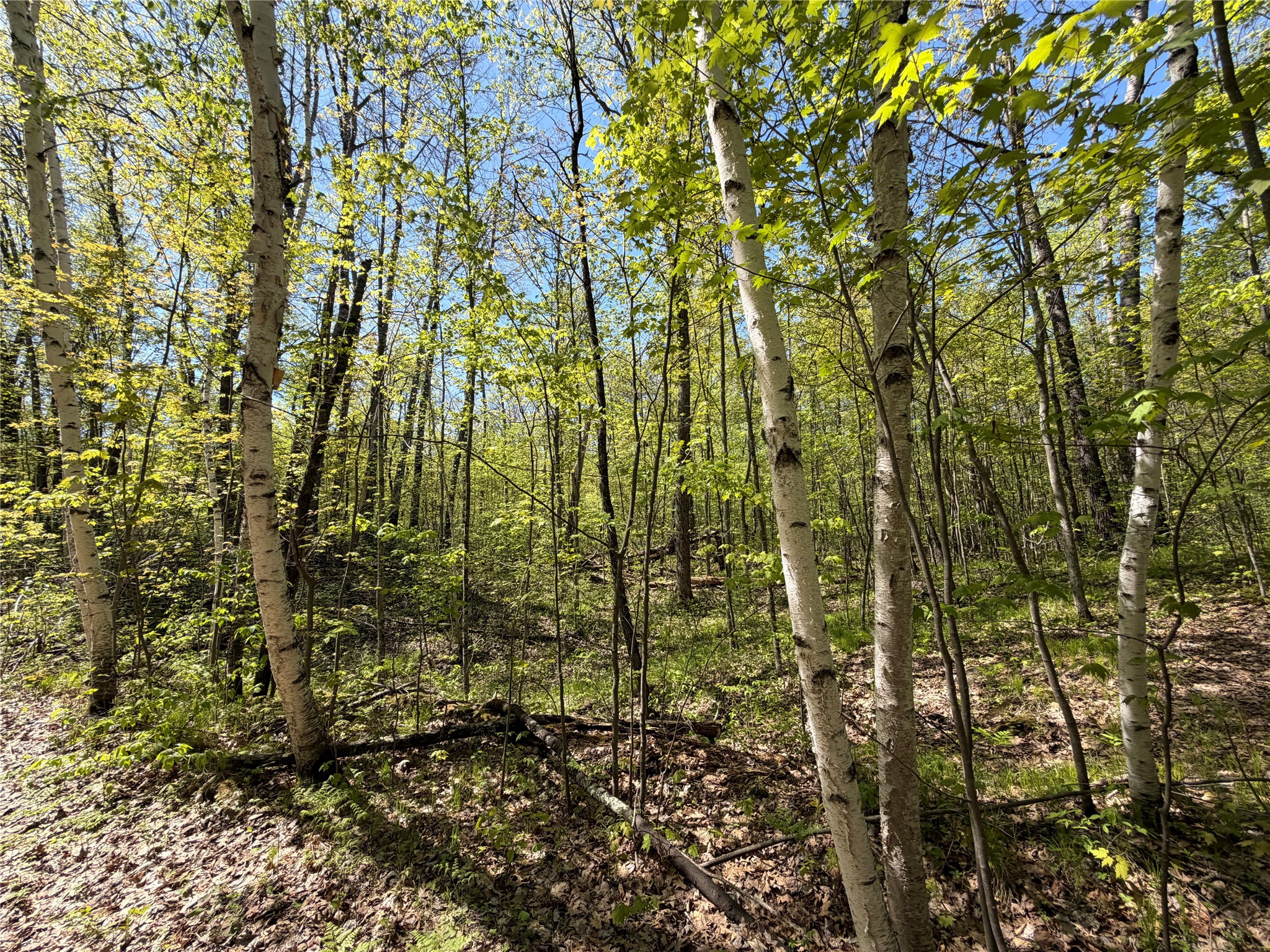 Lot 3 Peterson Road Holyoke, MN 55749 - Photo 4 of 7