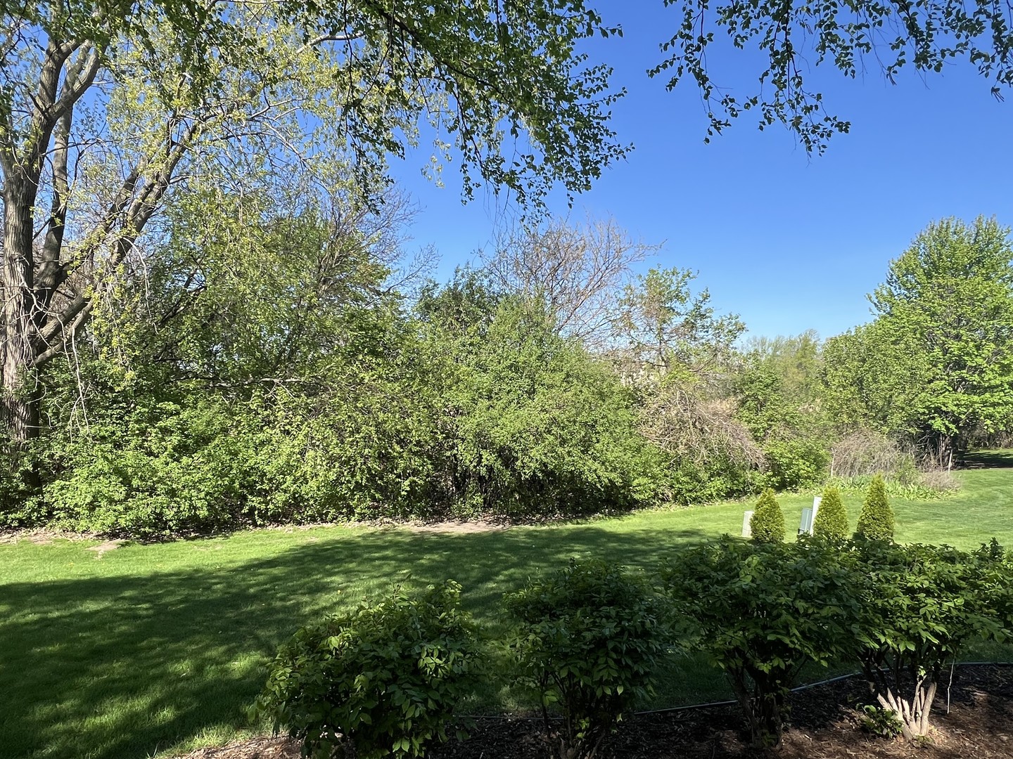 16200 Kingsport Road Orland Park, IL 60467 - Photo 32 of 32