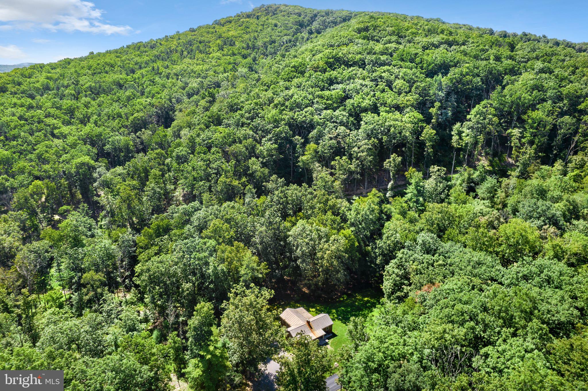 1789 Helmick Rock Road Mathias, WV 26812 - Photo 24 of 24