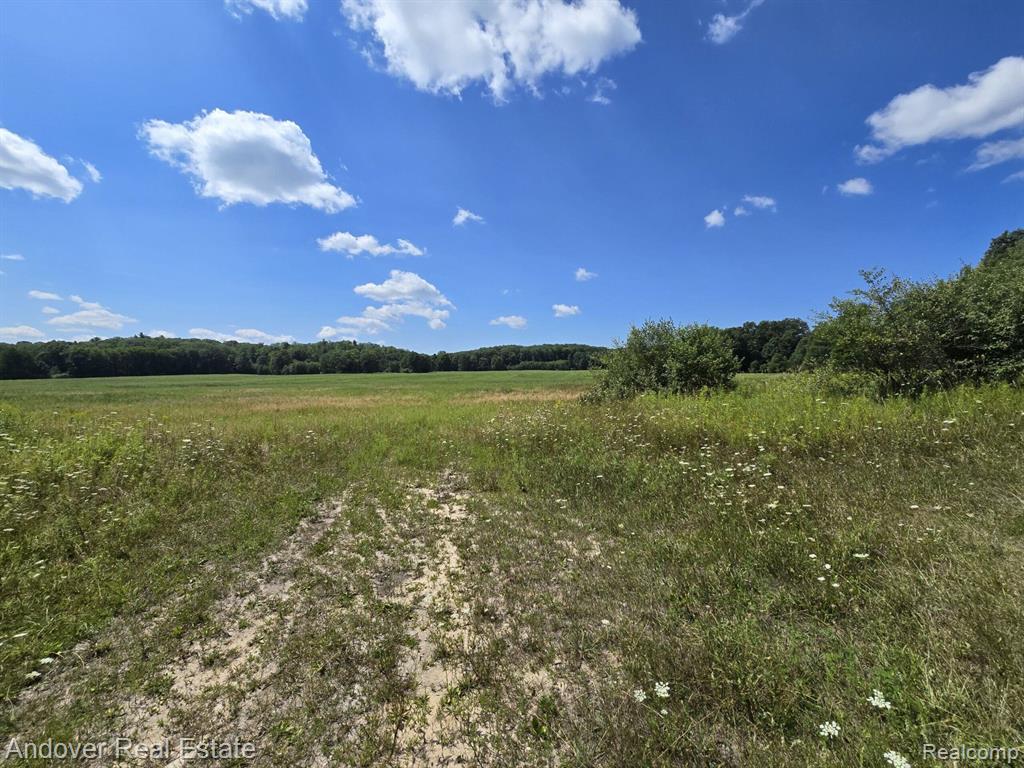 B Leckrone Road Brethren, MI 49619 - Photo 5 of 7