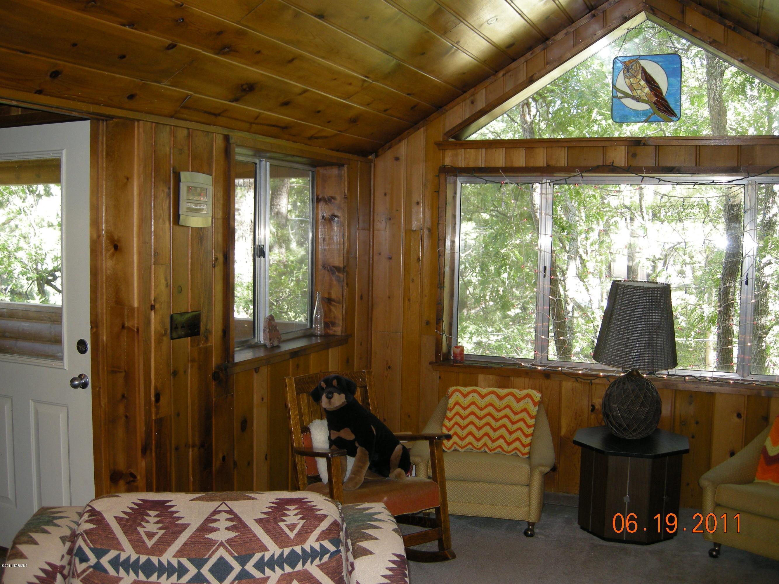11207 East Carter Canyon Road Mount Lemmon, AZ 85619 - Photo 9 of 18