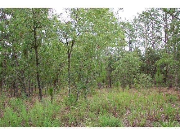 Lot 57 Southwest Winding Hills Road Dunnellon, FL 34431 - Photo 1 of 1 Primary Photo