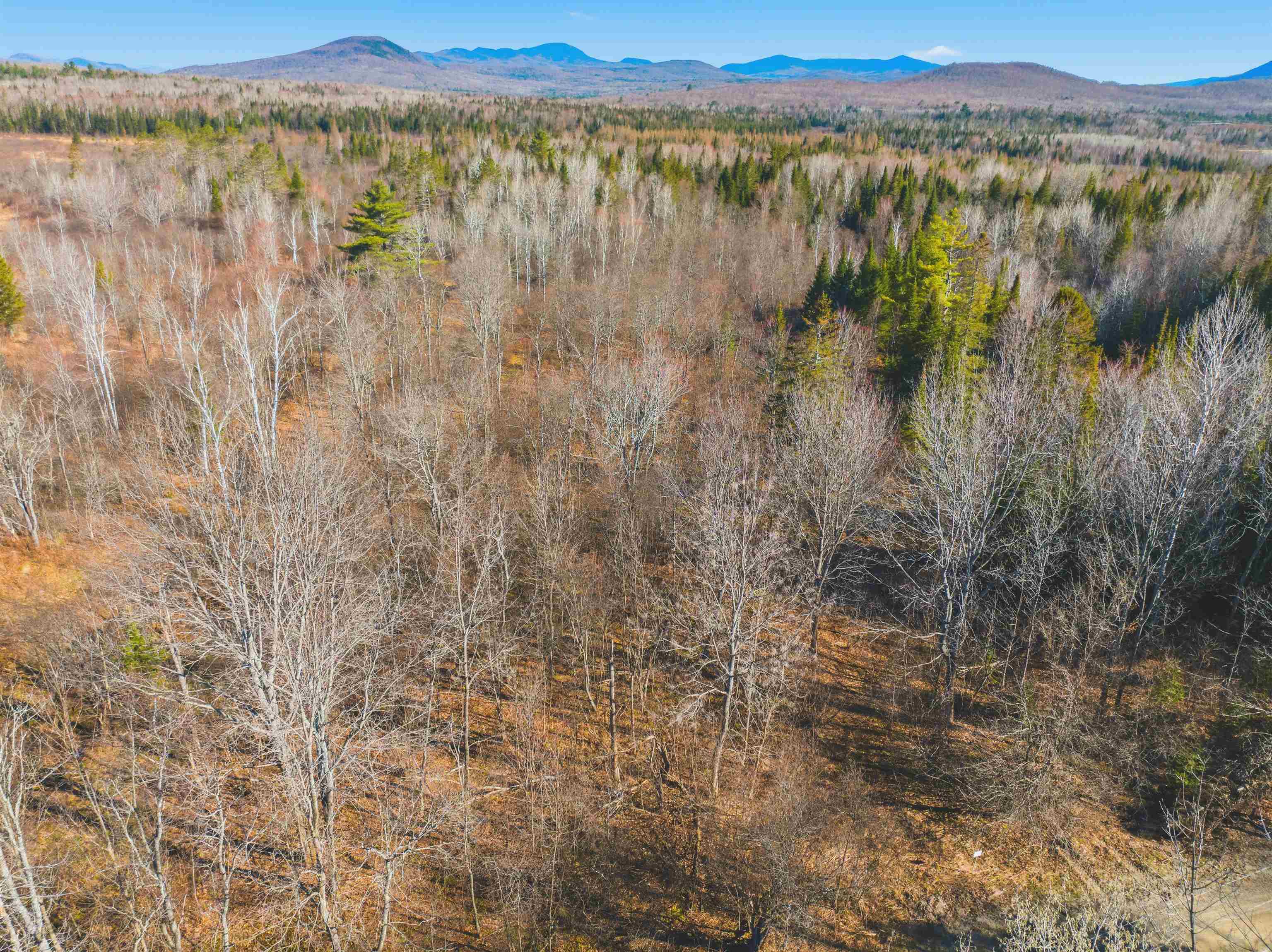 Thompson Road Northumberland, NH 03582 - Photo 4 of 42 Gallery Image 4