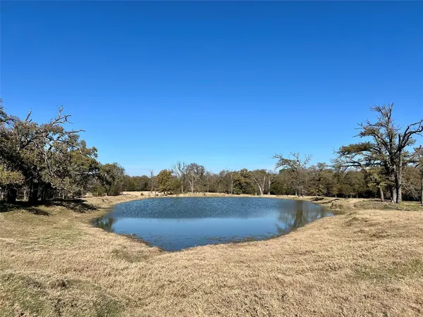 a view of spacious with big yard