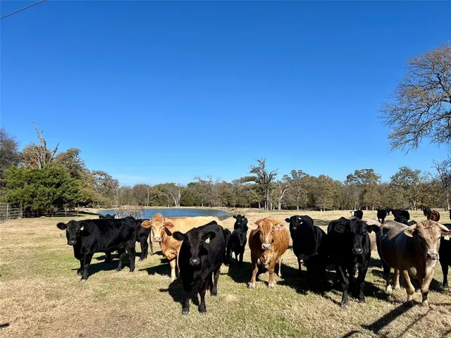 $1,999,999 | 300 County Road 2100, Kemp, TX 75143