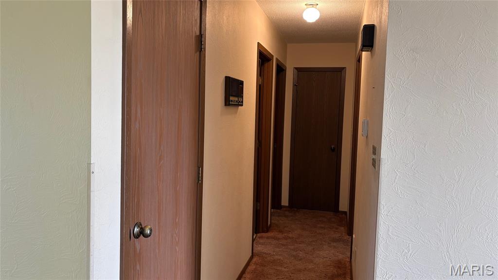 11777 Wine Hill Road Steeleville, IL 62288 - Photo 17 of 53