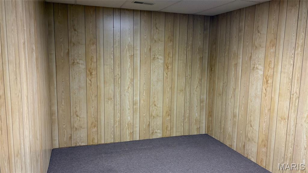 11777 Wine Hill Road Steeleville, IL 62288 - Photo 21 of 53