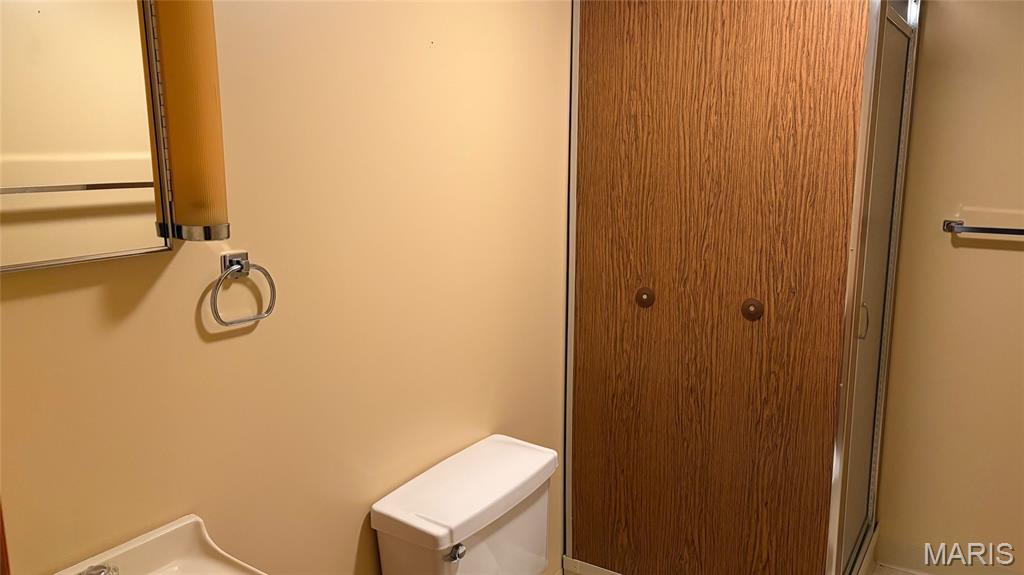 11777 Wine Hill Road Steeleville, IL 62288 - Photo 22 of 53