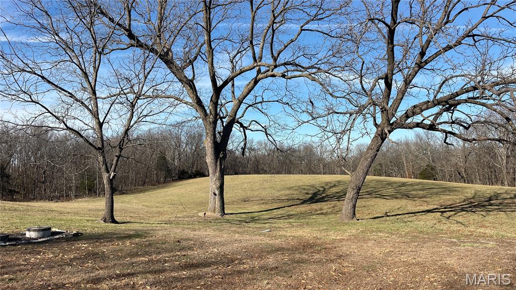 11777 Wine Hill Road Steeleville, IL 62288 - Photo 39 of 53