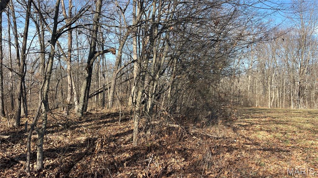 11777 Wine Hill Road Steeleville, IL 62288 - Photo 40 of 53