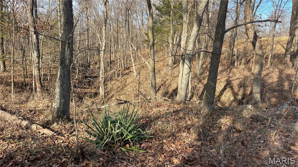 11777 Wine Hill Road Steeleville, IL 62288 - Photo 43 of 53