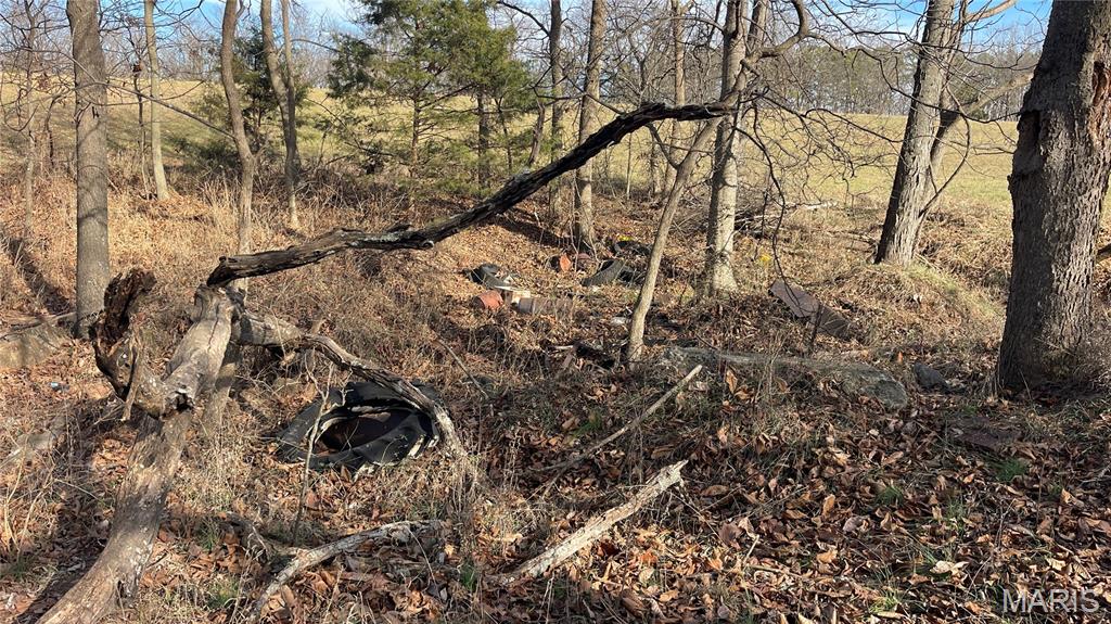 11777 Wine Hill Road Steeleville, IL 62288 - Photo 44 of 53